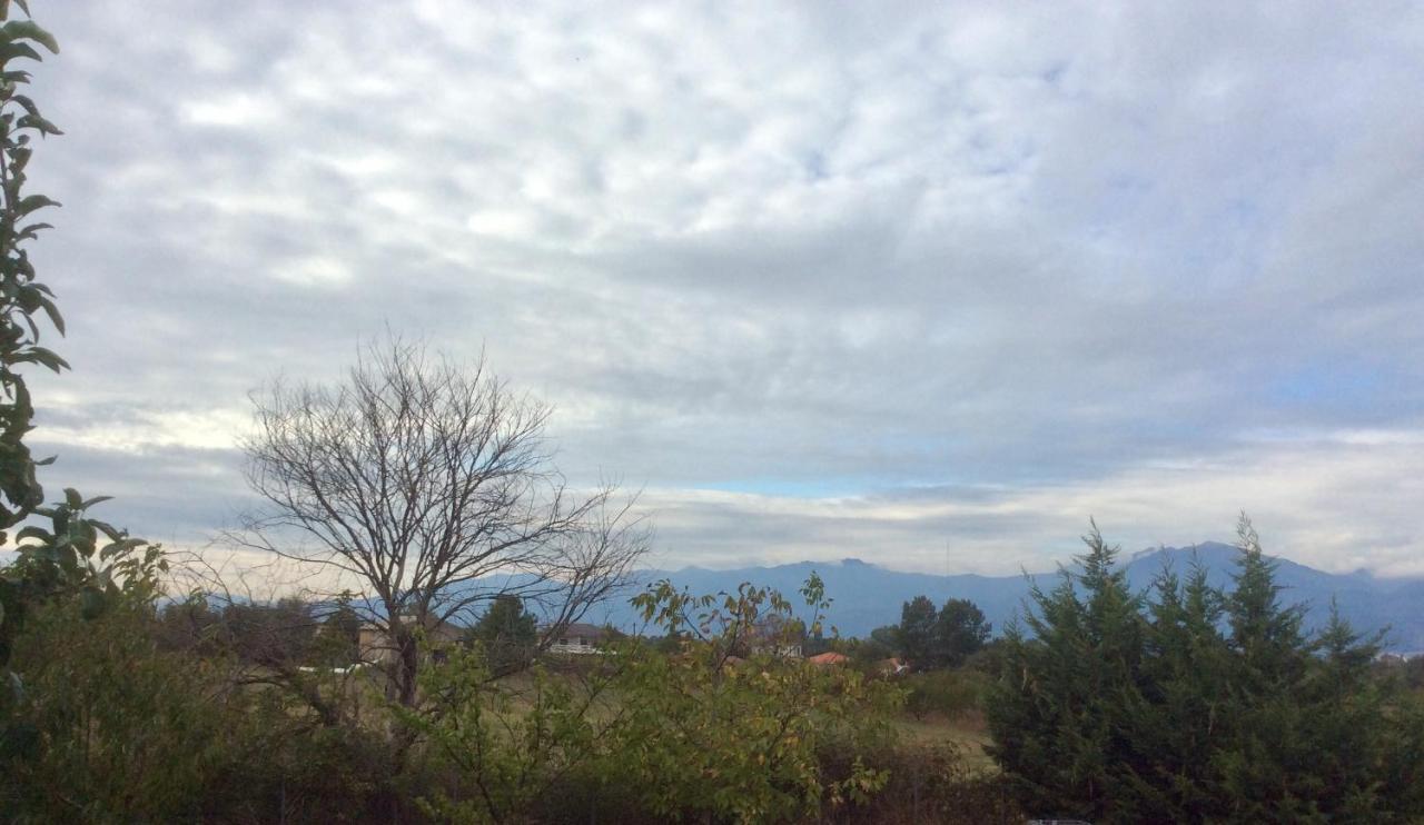 Green Guesthouse * Komotini